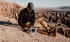 Urban Armor Gear Plasma Microsoft Surface Pro 8 Hoes met Schouderband afbeelding 14