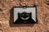 Urban Armor Gear Plasma Microsoft Surface Pro 8 Hoes met Schouderband afbeelding 16