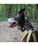 Honden Halsband Apple AirTag Houder Nylon Hoesje Zwart L: 45-50cm
