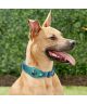 Honden Halsband Apple AirTag Houder Nylon Hoesje Zwart L: 45-50cm