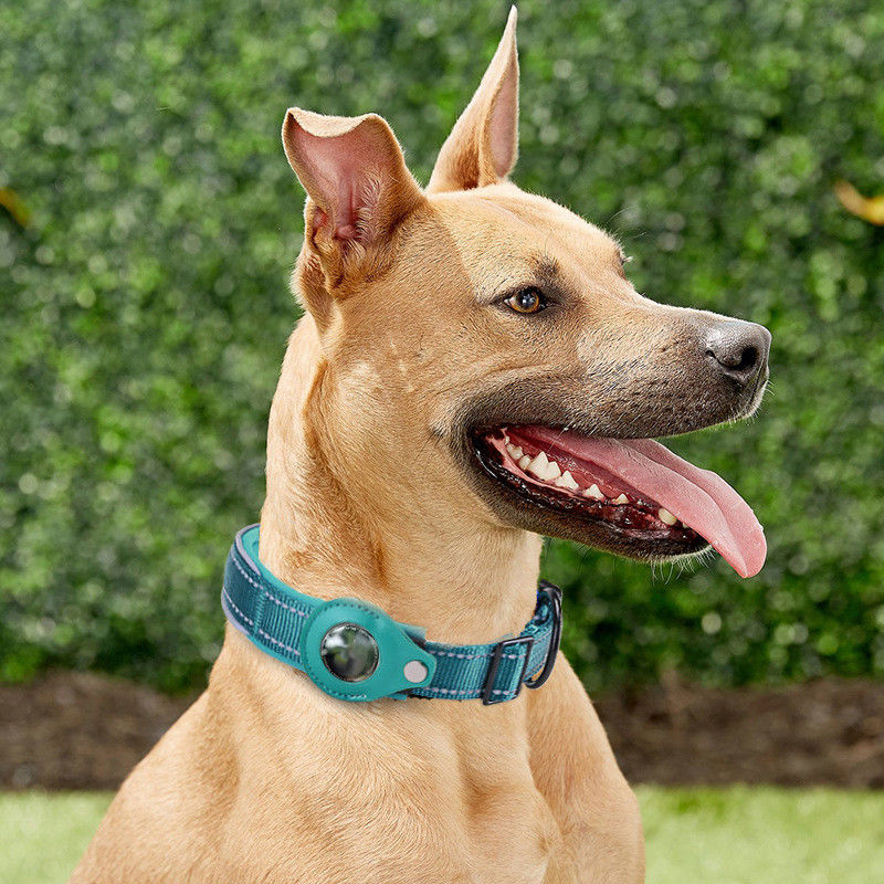 Honden Halsband Apple AirTag Houder Nylon Hoesje Zwart M: 40-45cm afbeelding 3