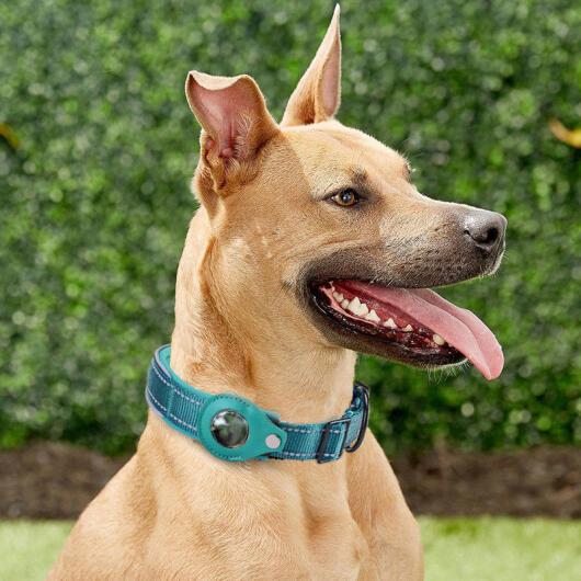 Honden Halsband Apple AirTag Houder Nylon Hoesje Zwart M: 40-45cm afbeelding 3