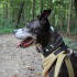 Honden Halsband Apple AirTag Houder Nylon Hoesje Zwart M: 40-45cm afbeelding 2