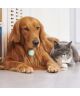 Samsung Galaxy SmartTag Siliconen Hoesje voor Huisdieren Wit
