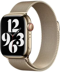 Origineel Apple Watch 1-9/SE 41/40/38MM Milanees Bandje Goud