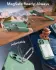 ESR Cyber Armor Apple iPhone 16 Hoesje MagSafe met Stand Groen afbeelding 3