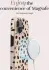 MIO MagSafe Apple iPhone 16 Pro Hoesje Hard Shell Back Cover Spots afbeelding 4