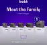 Buddi Power 45W Power Adapter Fast Charge USB-C + USB-A Snellader Grijs afbeelding 8