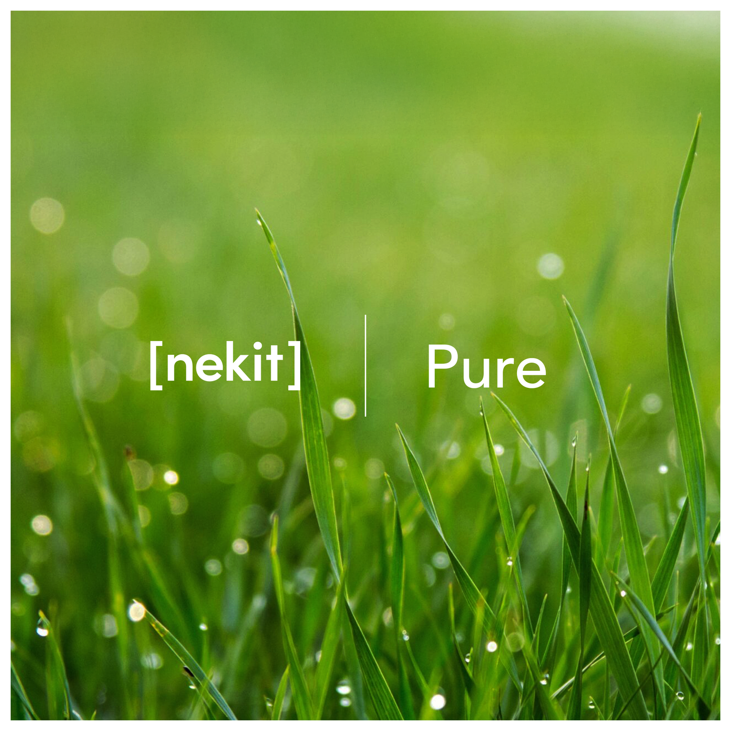 NEKIT Pure Samsung Galaxy S24 Tempered GRS Glass Installatiebox (2-Pack) afbeelding 13