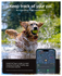 Spigen Pet Collar AirTag Hoesje voor Huisdieren Halsband Hond/Kat Zwart afbeelding 7