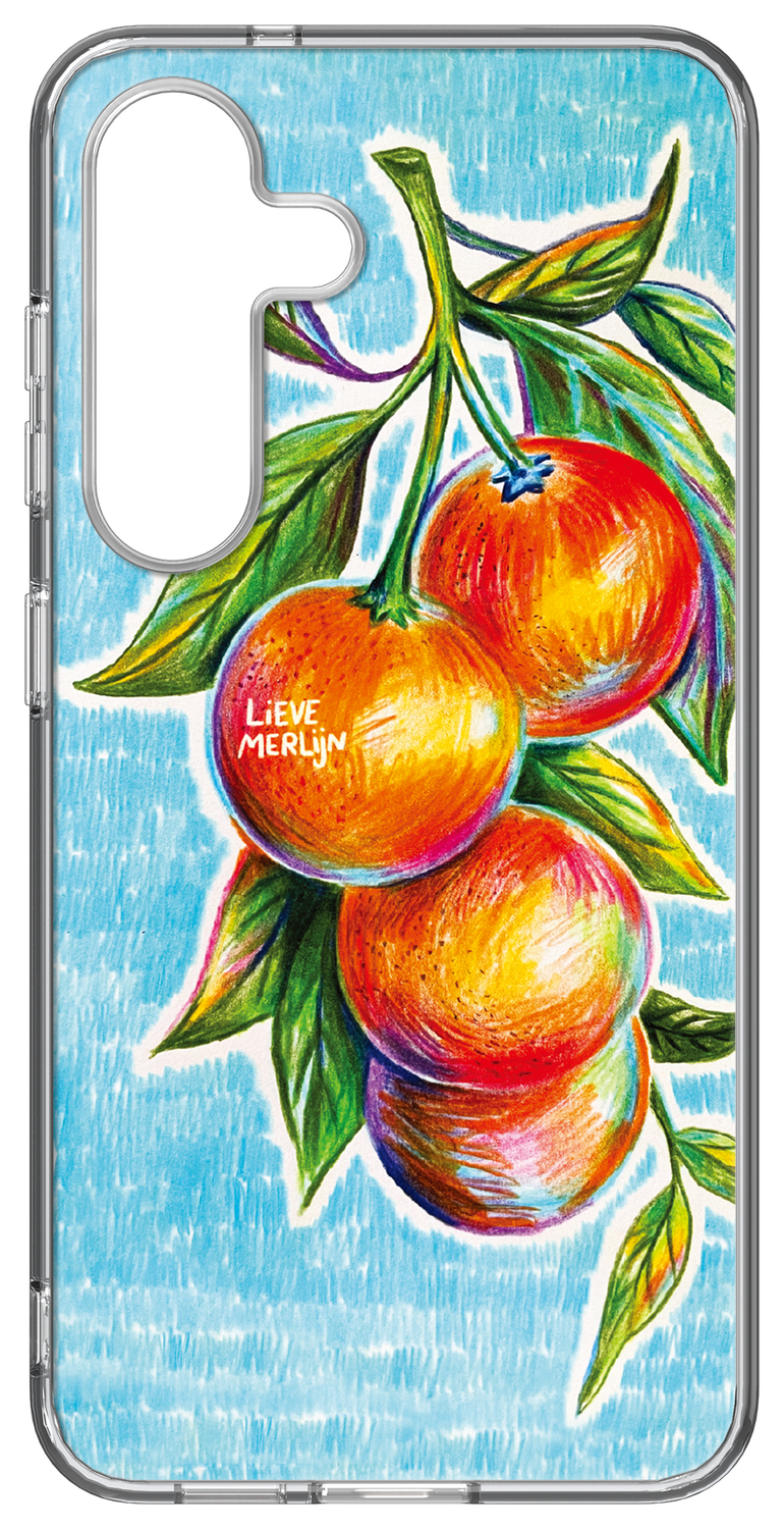 Samsung Galaxy S25 Lieve Merlijn Mandarin Hybrid Case Blauw afbeelding 1