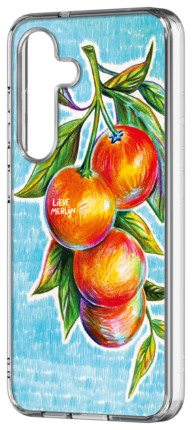 Samsung Galaxy S25 Lieve Merlijn Mandarin Hybrid Case Blauw afbeelding 2