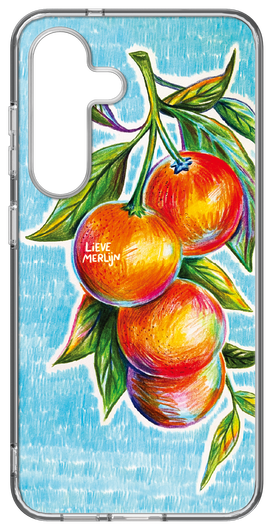 Samsung Galaxy S25 Lieve Merlijn Mandarin Hybrid Case Blauw afbeelding 1