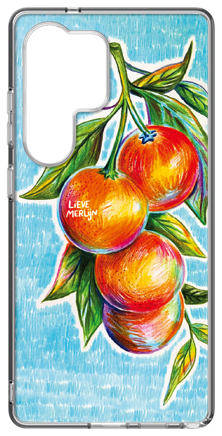 Samsung Galaxy S25 Ultra Lieve Merlijn Mandarin Hybrid Case Blauw afbeelding 1