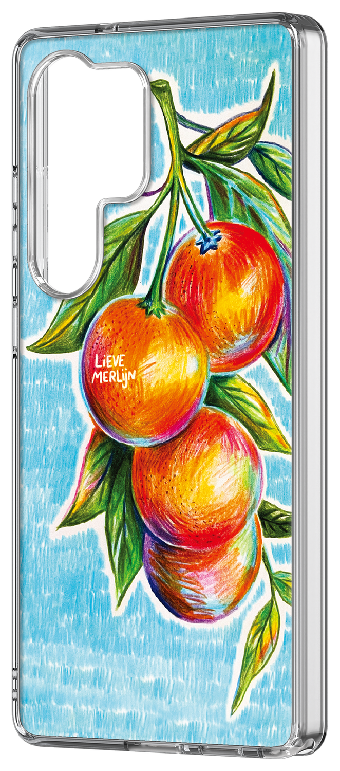 Samsung Galaxy S25 Ultra Lieve Merlijn Mandarin Hybrid Case Blauw afbeelding 2