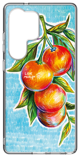 Samsung Galaxy S25 Ultra Lieve Merlijn Mandarin Hybrid Case Blauw afbeelding 1