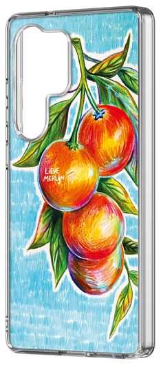 Samsung Galaxy S25 Ultra Lieve Merlijn Mandarin Hybrid Case Blauw afbeelding 2