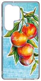 Samsung Galaxy S25 Ultra Lieve Merlijn Mandarin Hybrid Case Blauw