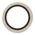 PanzerGlass Hoops Rings iPhone Air Camera Lens Protector Glas Glitter Goud afbeelding 4