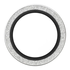 PanzerGlass Hoops Rings iPhone Air Camera Lens Protector Glas Glitter Zilver afbeelding 4