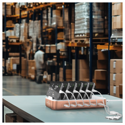 4Smarts Team 100W Laadstation 5x USB-C 1x USB-A Oplader Brons afbeelding 3