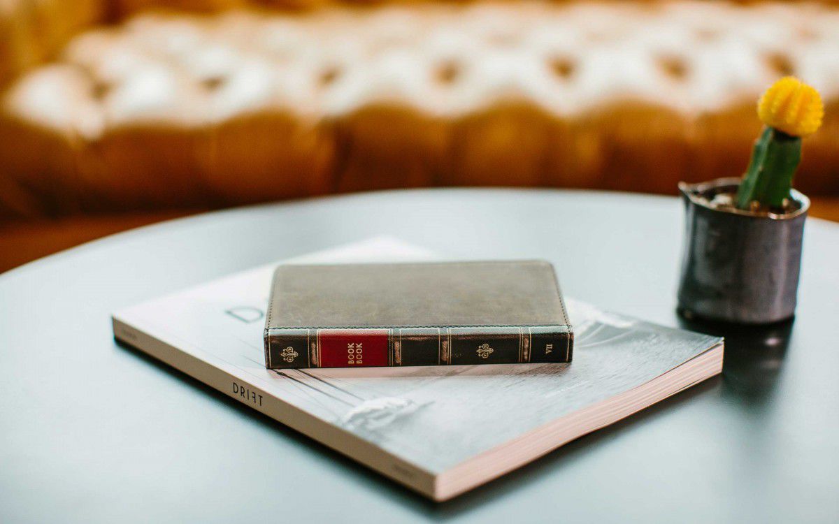 Twelve South BookBook voor iPhone 7 / 8 Bruin afbeelding 5