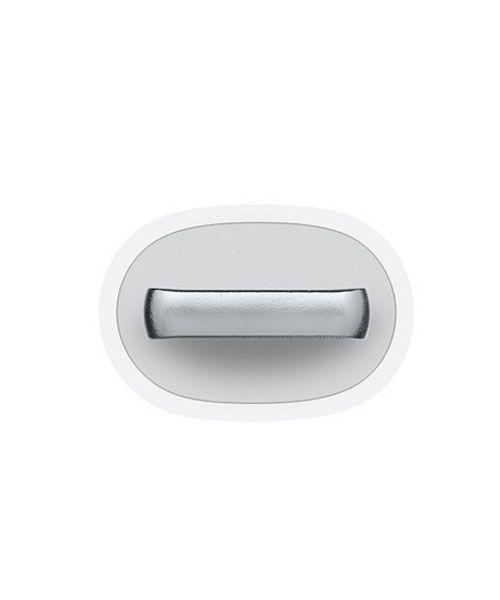 Apple Lightning naar 30 pens adapter MD824ZM/A afbeelding 5