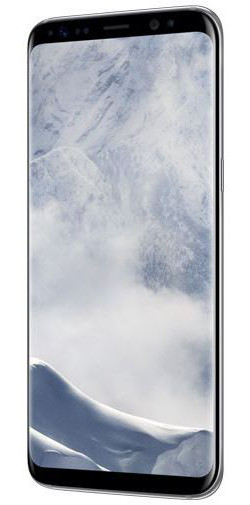 Samsung Galaxy S8 G950 Silver afbeelding 4