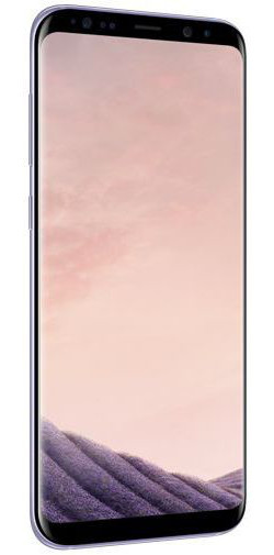 Samsung Galaxy S8+ G955 Grey afbeelding 3