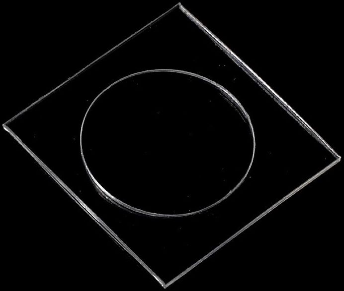 Apple iPhone 8 / 7 Camera Lens Tempered Glass afbeelding 2