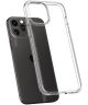 Spigen Crystal Hybrid Apple iPhone 12 Pro Max Hoesje Transparant