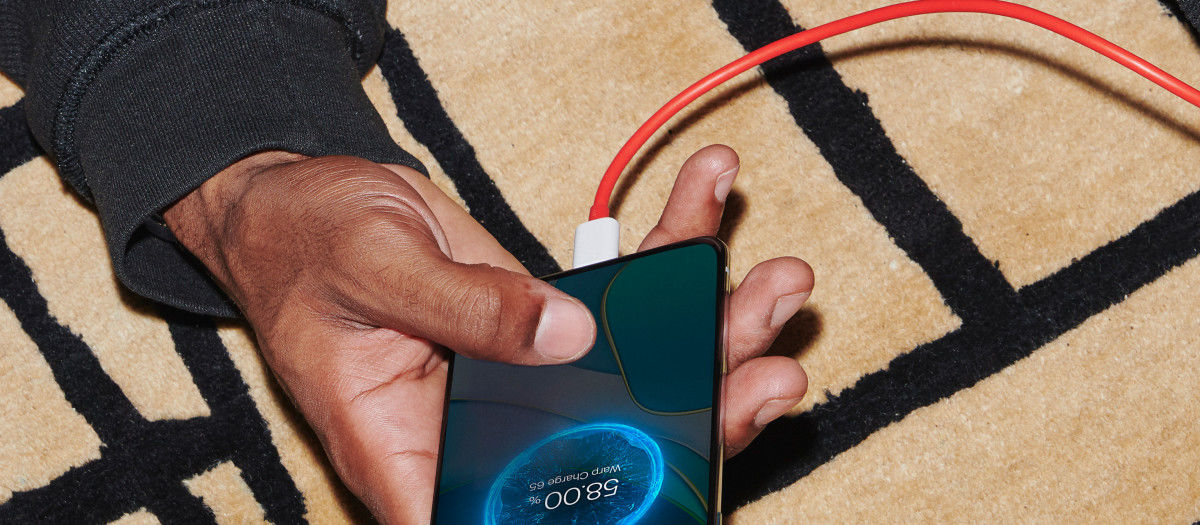 Origineel OnePlus Warp Charge Type-C naar Type-C Oplaadkabel (100 CM) afbeelding 4