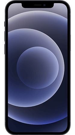Apple iPhone 12 256GB Zwart afbeelding 2